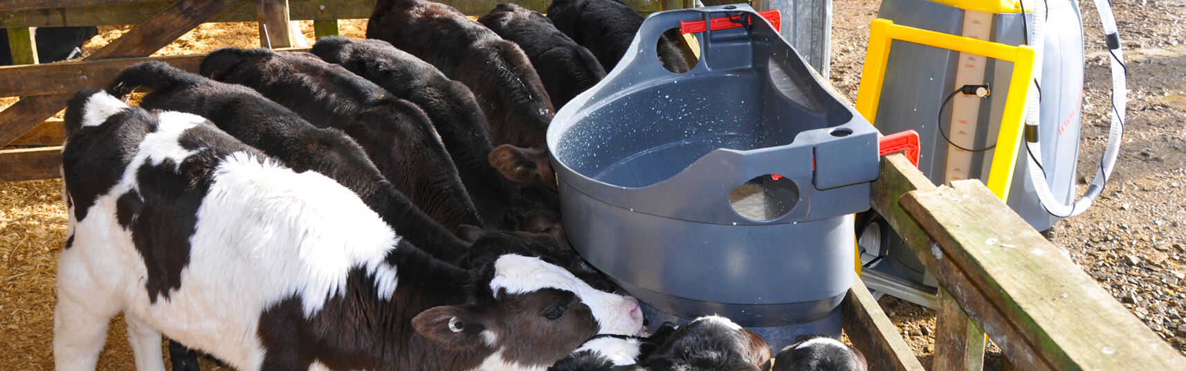 Calf Feeders